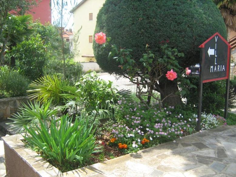 Villa Maria Novigrad  Ngoại thất bức ảnh