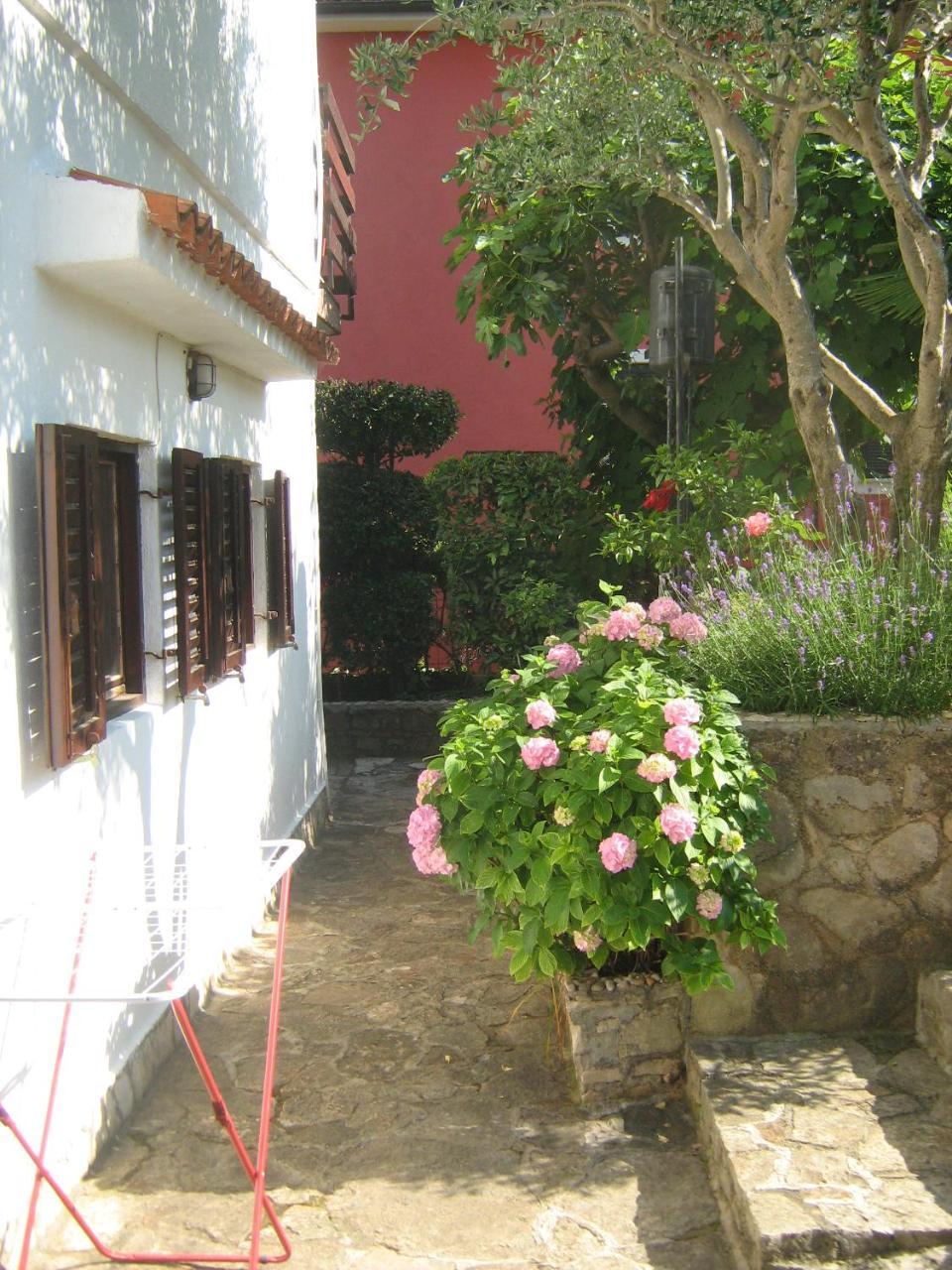 Villa Maria Novigrad  Ngoại thất bức ảnh